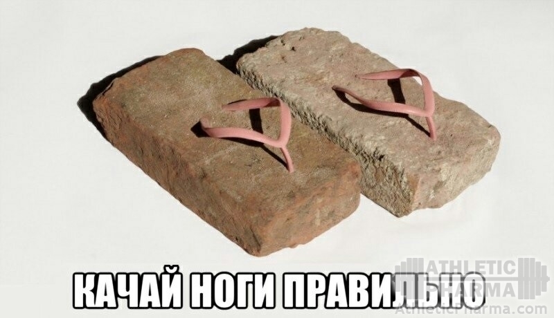 gallery_1196_2_78715.jpg